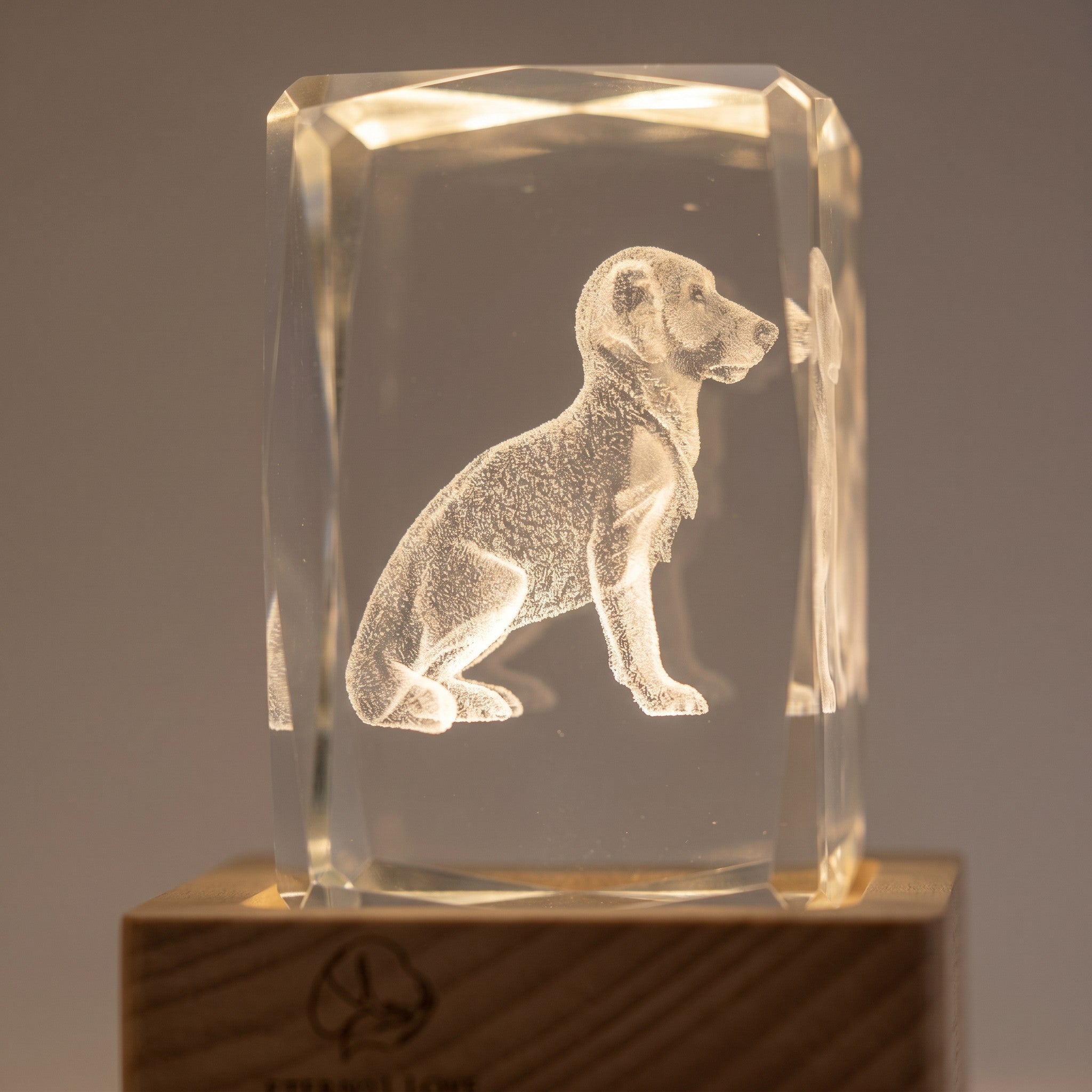 Personalized 3D crystal pet memorial night light — product image 3