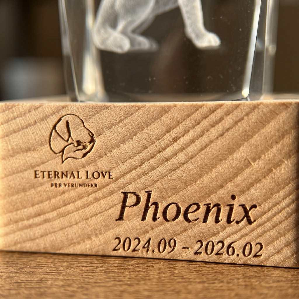 Personalized 3D crystal pet memorial night light — product image 5