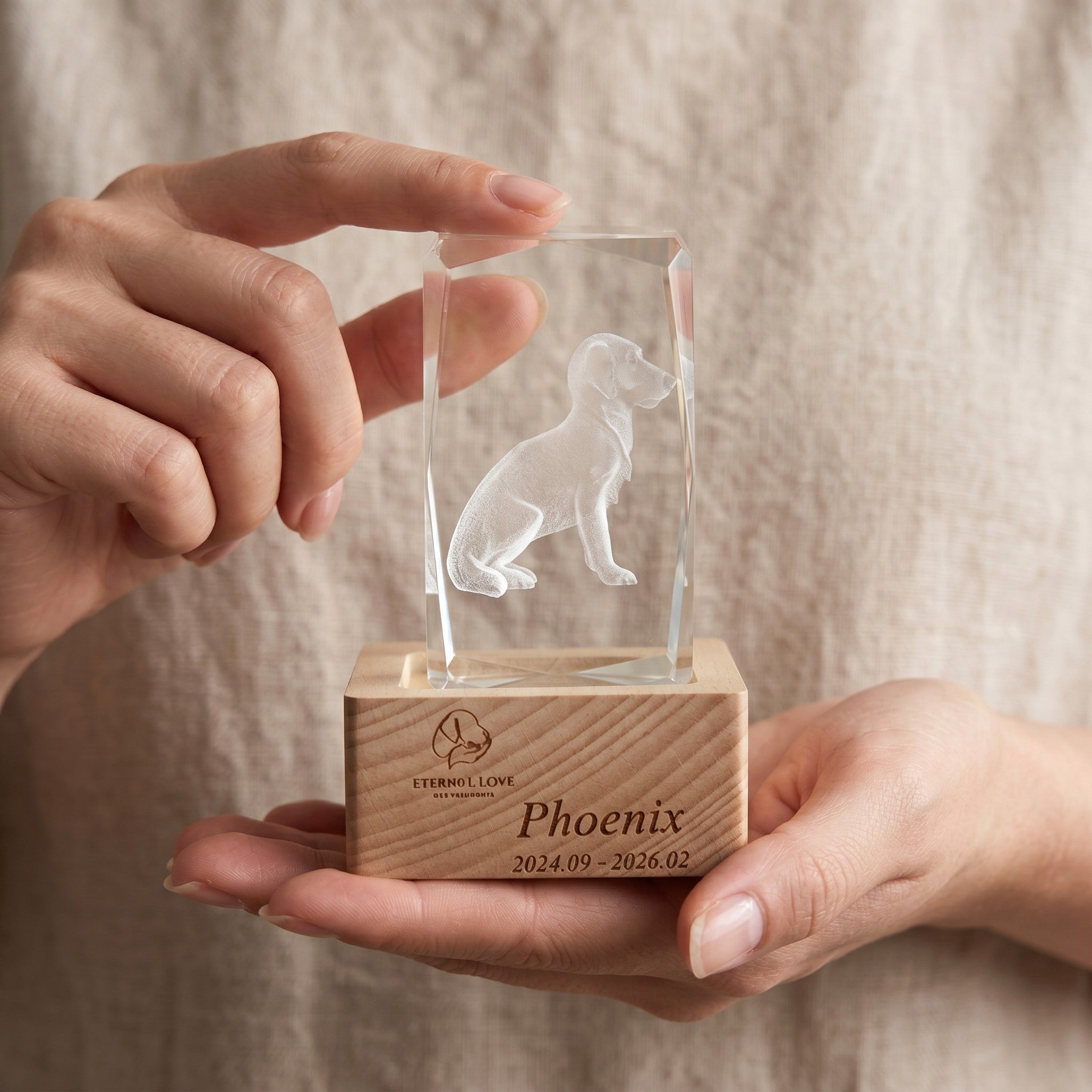 Personalized 3D crystal pet memorial night light — product image 9